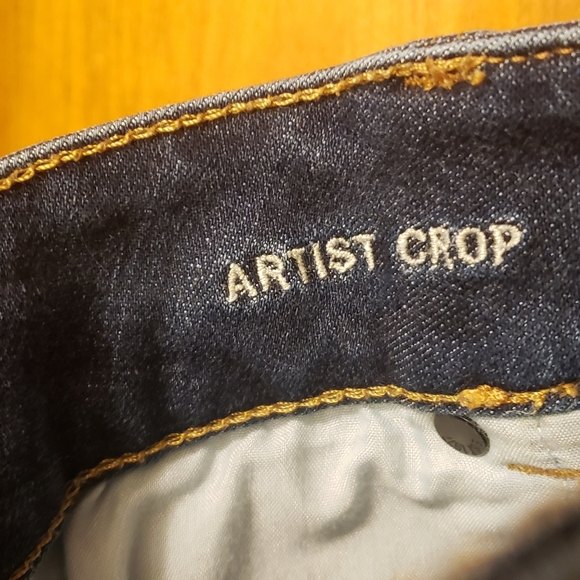 American Eagle *Artist Crop* Jean/Capri - Picture 5 of 6